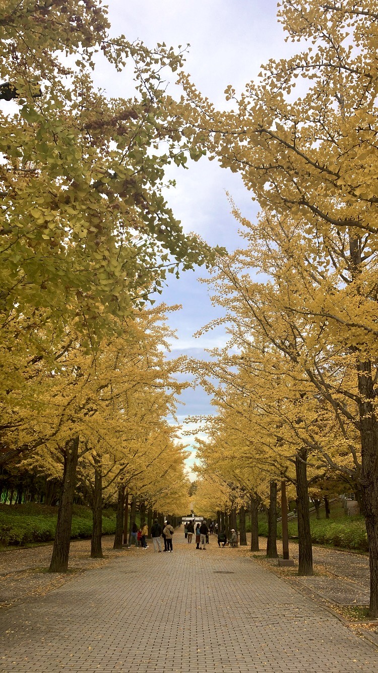 C7805122-9969-4201-B4CE-549836C7EA94 (1).jpeg