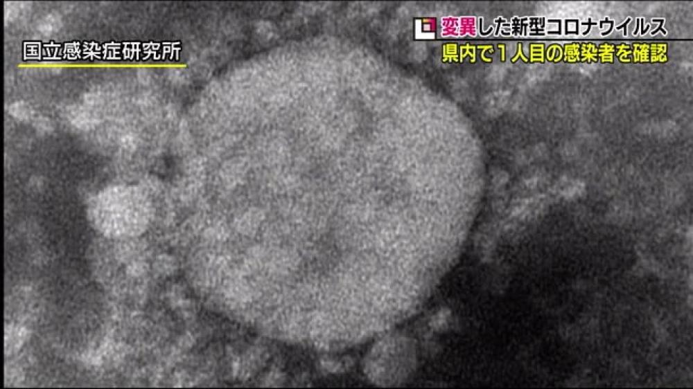施設 どこ ウイルス 変異