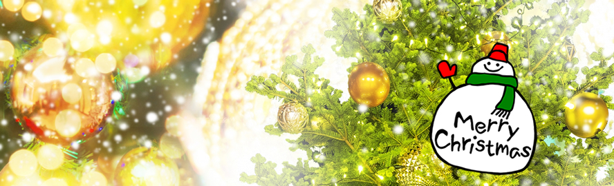 メリークリスマス
クリスマスのフラワーギフトを贈りませんか?
福テレフラワーセンター
福島テレビフラワーセンター
フジテレビフラワーネット