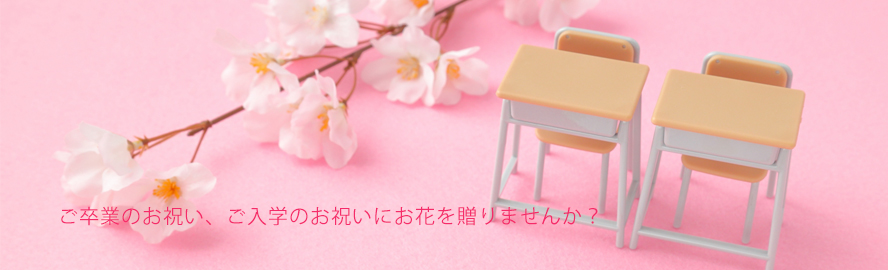 ご卒業のお祝い、ご入学のお祝いにお花を贈りませんか？