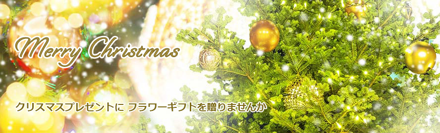 クリスマスプレゼントにフラワーギフトを贈りませんか　福島テレビフラワーセンター