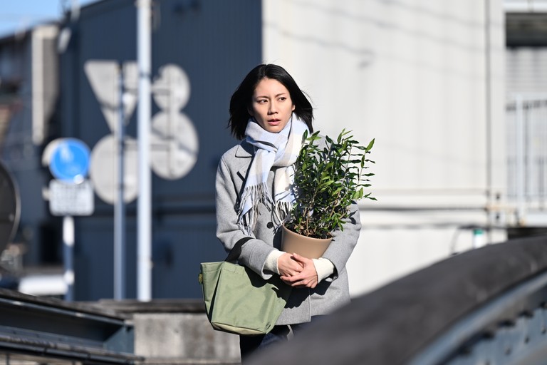 夫に間違いありません【第６話】