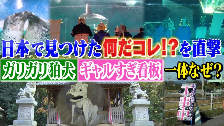 世界の何だコレ！？ミステリー