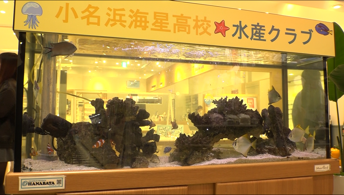 スクリーンショット 2025-11-12 153219.png