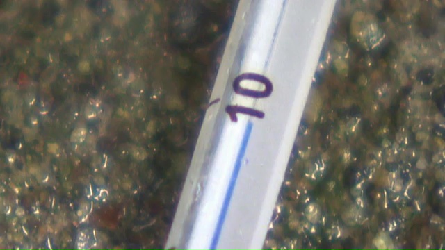 vlcsnap-2025-05-02-16h09m43s805.jpg