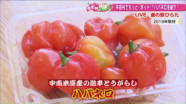 vlcsnap-2025-06-24-14h23m46s619.jpg