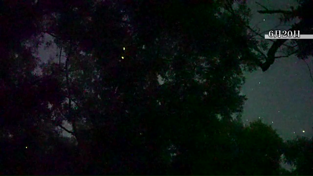 vlcsnap-2025-06-27-14h55m15s677.jpg
