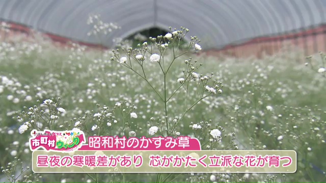 vlcsnap-2025-07-08-14h53m04s684.jpg