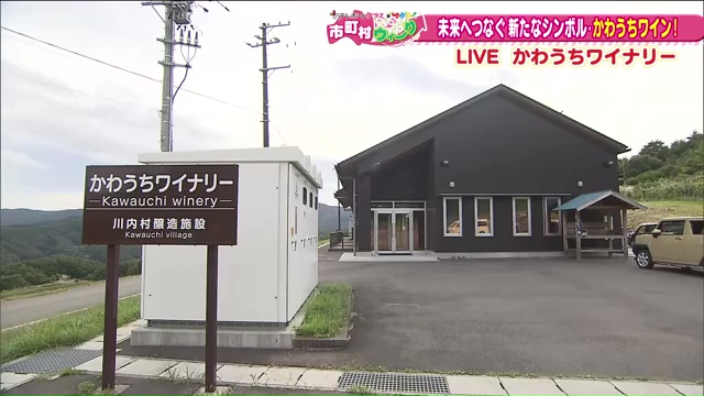 vlcsnap-2025-09-22-19h41m04s138.jpg