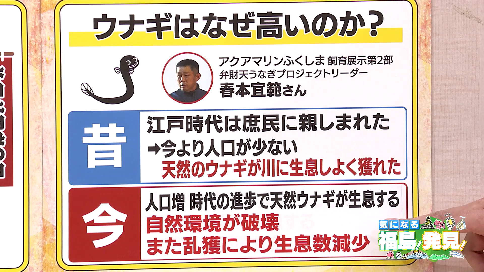 vlcsnap-2025-07-22-14h45m49s051.png