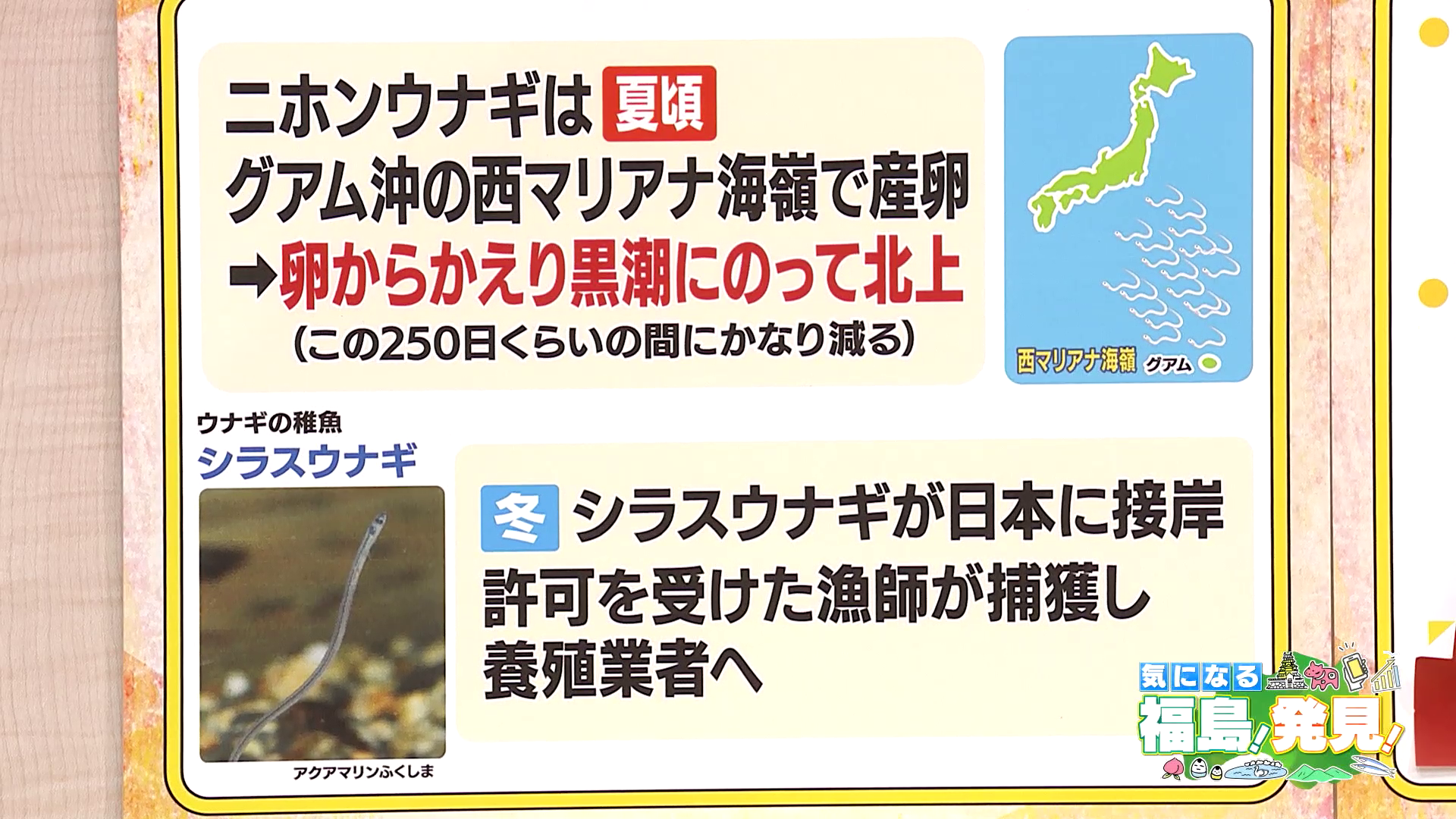 vlcsnap-2025-07-22-14h46m05s145.png