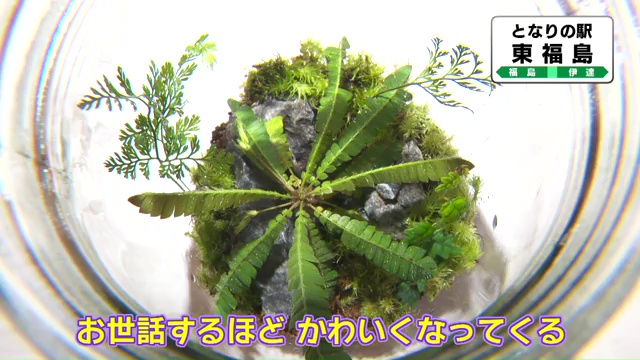 vlcsnap-2025-09-09-15h06m53s681.jpg